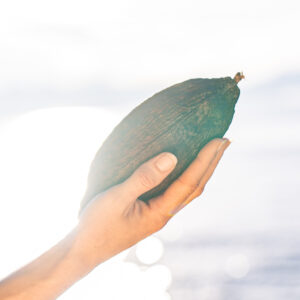 <b>Guatemalan Ceremonial Cacao</b>